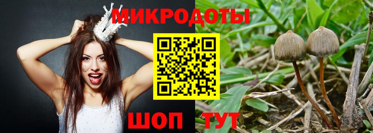 Галлюциногенные грибы MAGIC MUSHROOMS Братск